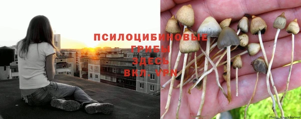 mdpv Алзамай